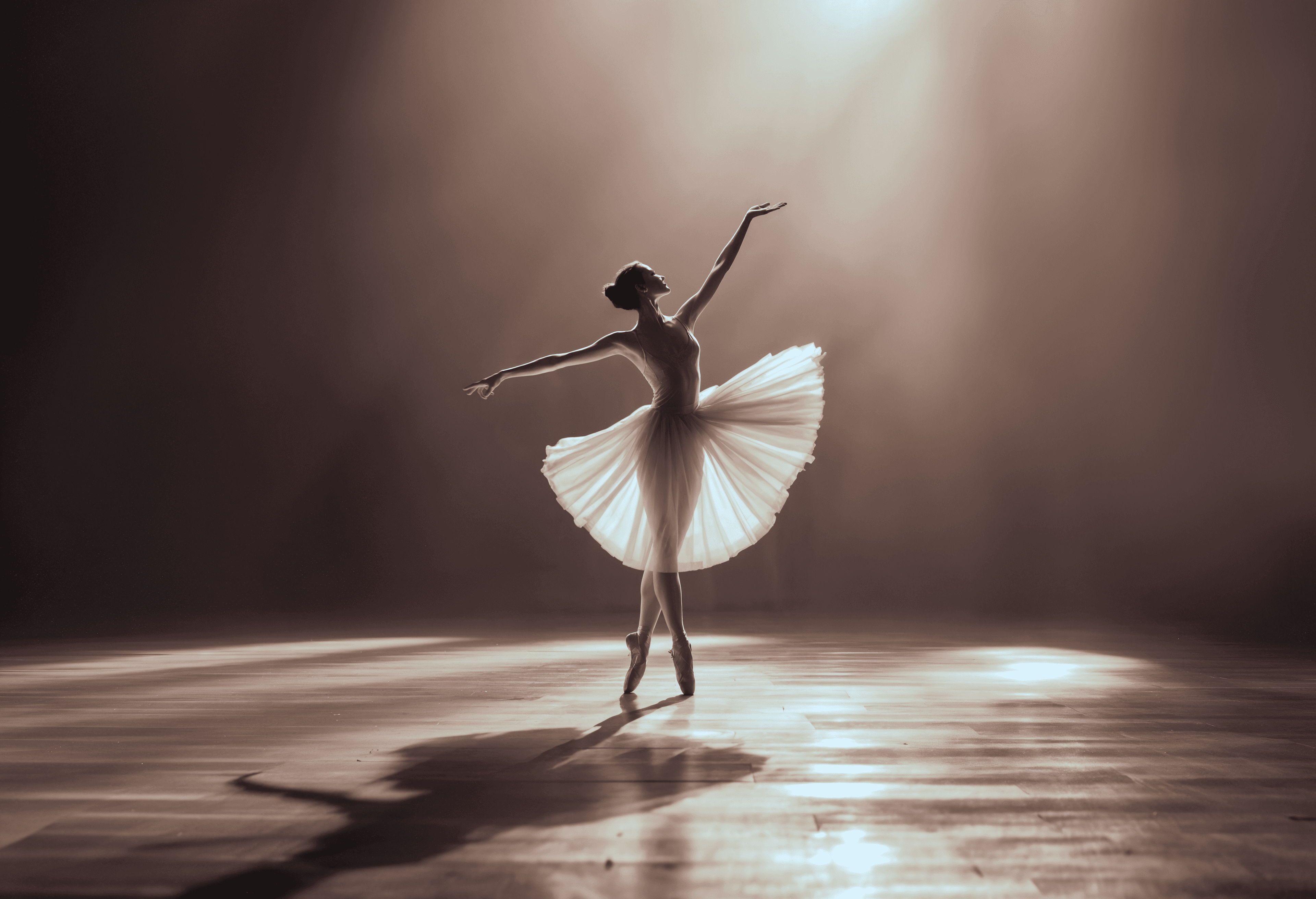 Professional Ballet
