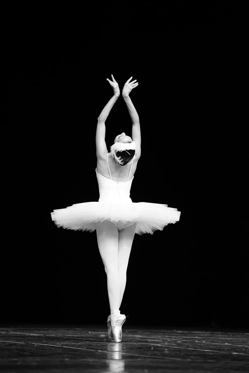 Professional ballet program