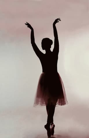 Stage Performances photo 5
