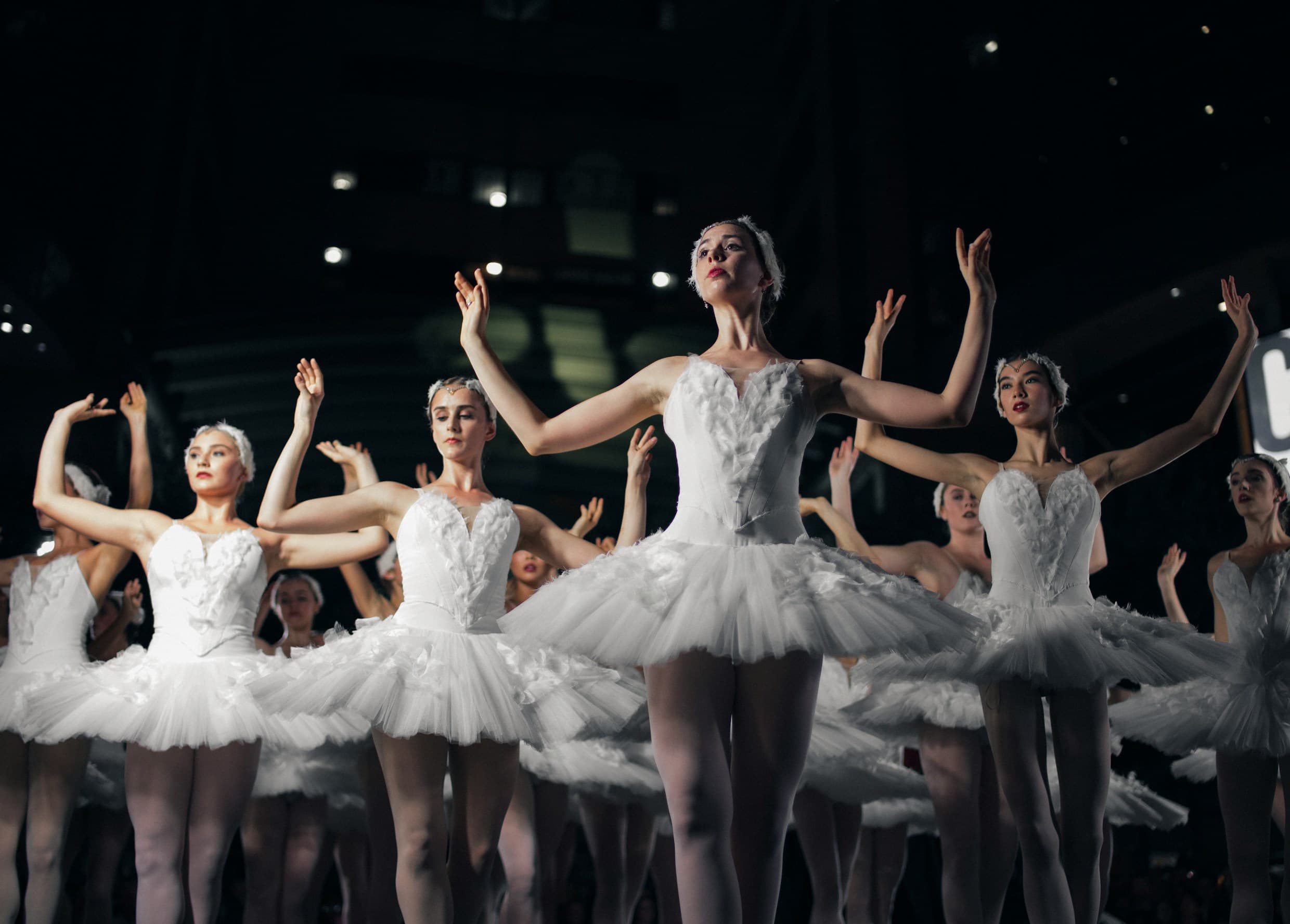 Swan Lake ensemble performance